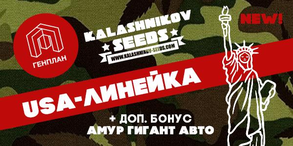 Амерриканские стрэйны от Kalasnikov Seeds