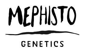 MEPHISTO GENETIC