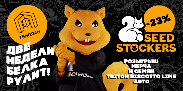 -23%  на все сорта Seeds Stockers!