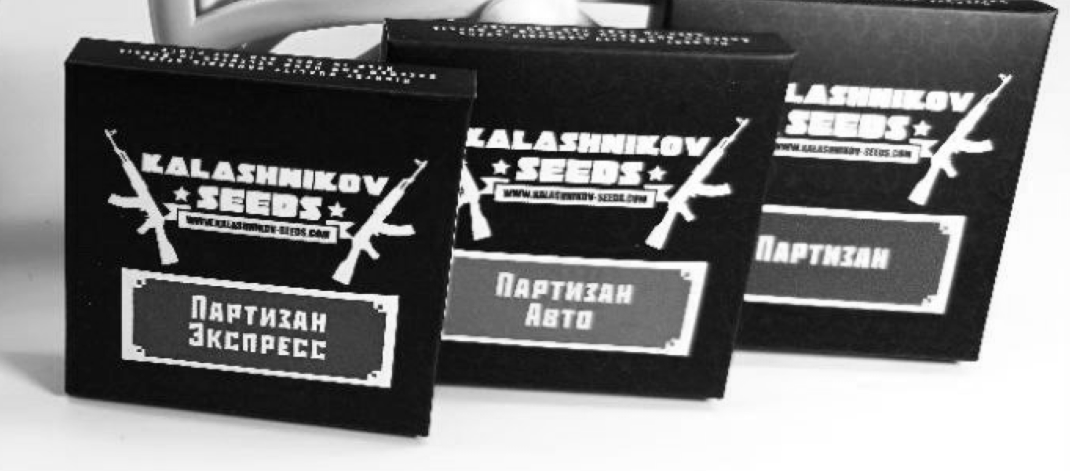 Новый сорт Партизан