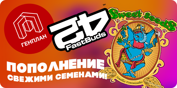 На витрине пополнение!